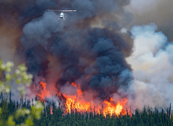 Photographie d’un feu de forêt.