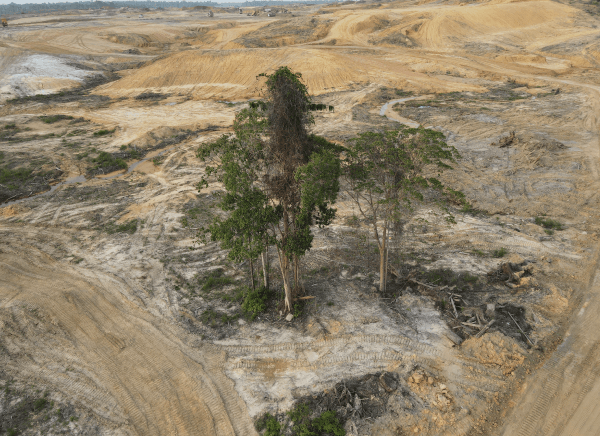 Une photographie d’une région déforestée.