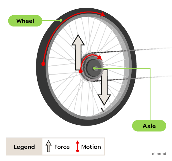 A significant force is applied to the gear on the rear wheel of a bicycle. The gear performs a small motion, but the wheel performs a big motion.