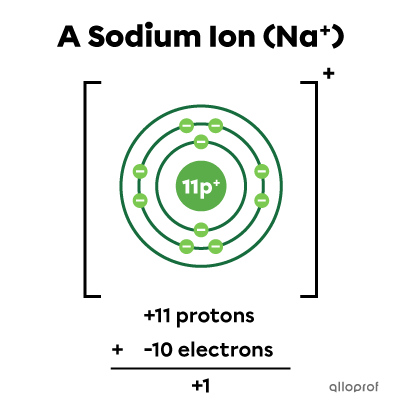 The Rutherford-Bohr model of the sodium ion and the calculation (+11 protons) + (-10 electrons) = +1.