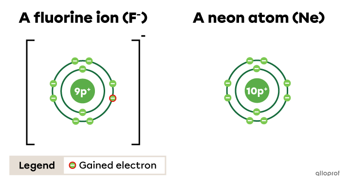 The fluorine ion and the neon atom are represented according to the Rutherford-Bohr model.