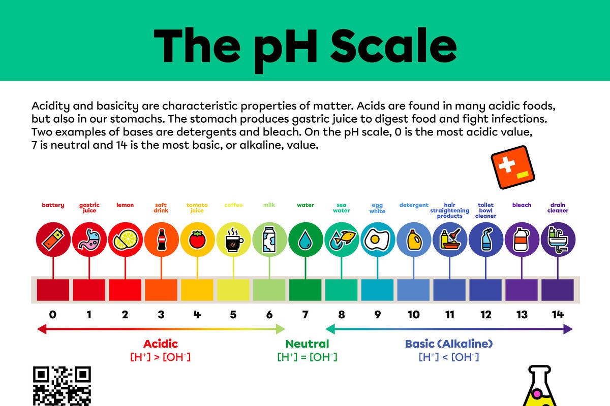 Examples of Acids and Bases on the pH Scale.