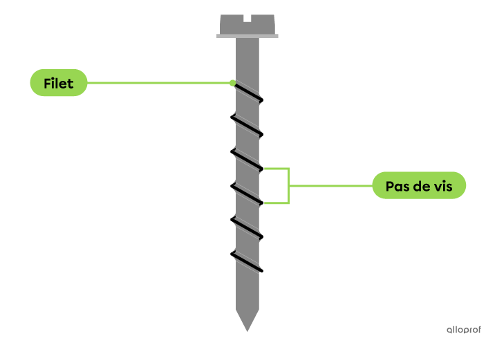 Le filet est la structure hélicoïdale enroulée autour de la vis et le pas de vis est l’espace entre deux filets consécutifs.