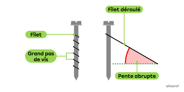 Une vis avec un grand pas de vis à gauche. La même vis à droite, mais dont on a déroulé le filet. Le filet forme un plan incliné avec une forte pente.