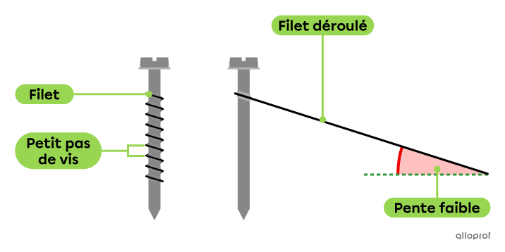 Une vis avec un petit pas de vis à gauche. La même vis à droite, mais dont on a déroulé le filet. Le filet forme un plan incliné avec une faible pente.