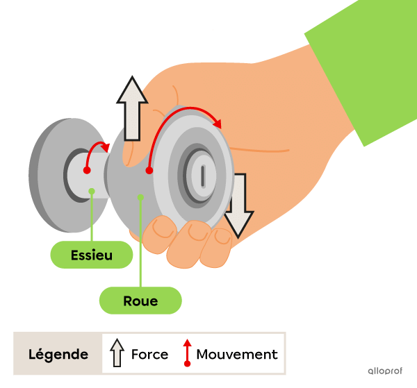 Une main qui fait tourner une poignée de porte. La main applique une petite force sur la poignée (roue). La poignée fait un grand mouvement alors que l’essieu fait un petit mouvement.