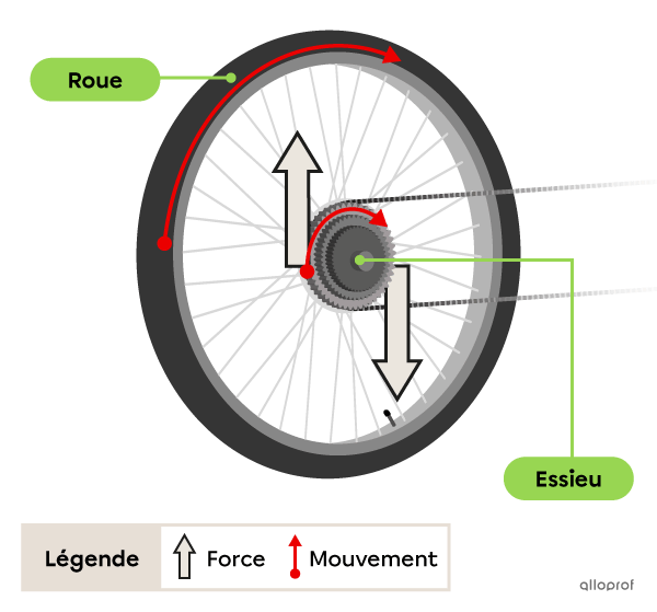 Une grande force est appliquée sur la roue dentée de la roue arrière d’un vélo. La roue dentée fait un petit mouvement, mais la roue fait un grand mouvement.