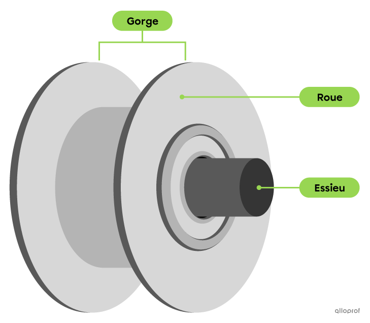 La gorge, la roue et l’essieu d’une poulie.