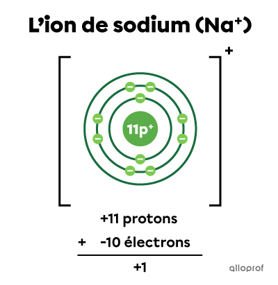 L’ion de sodium selon le modèle de Rutherford-Bohr et le calcul (+11 protons) + (-10 électrons) = +1.