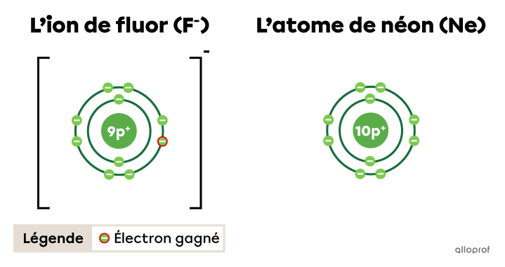 L’ion de fluor et l’atome de néon selon le modèle de Rutherford-Bohr.