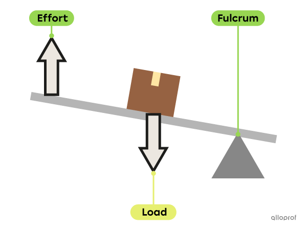 The Lever | Alloprof