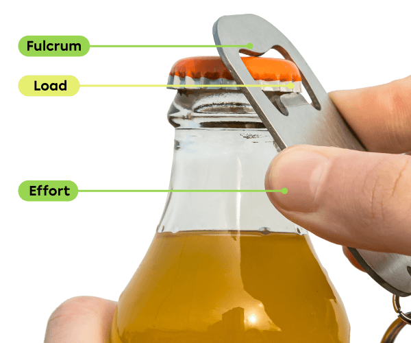 A hand opens a bottle with a bottle opener. The effort force is applied by the hand, the resistance force (load) is applied by the cork and the fulcrum is at the end of the bottle opener.