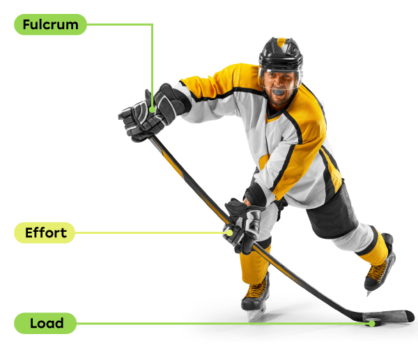 A hockey player shoots a puck with a hockey stick. The fulcrum is located at the top of the stick in the player's left hand, the effort force is applied by the player's right hand in the middle of the stick and the resistance force (load) is applied by the puck.