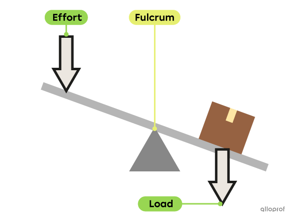 A long board is supported in the middle on a fulcrum. There is a box (load) on one end of the board and an effort force is applied at the other end.