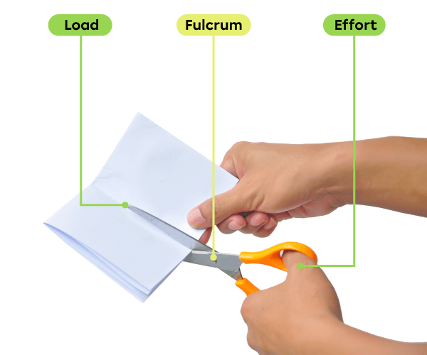 A hand cutting paper with scissors. The effort force is applied by the hand, the fulcrum is located at the rivet that joins the two blades and the resistance force (load) is applied by the paper.