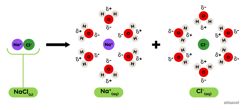 La dissociation du chlorure de sodium par les molécules d’eau représentée à l’aide du modèle particulaire.