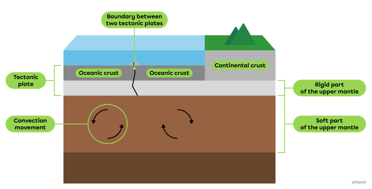 A diagram of two tectonic plates separated by a boundary and the convection movement in the mantle under the lithosphere.