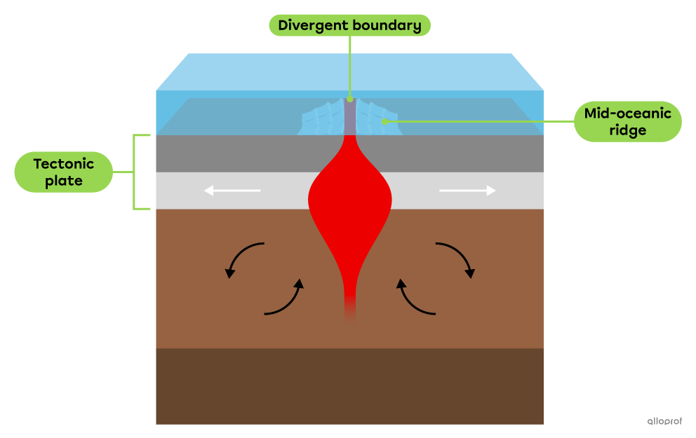 A diagram showing the rise of magma at the divergent boundary between two tectonic plates that are moving apart.