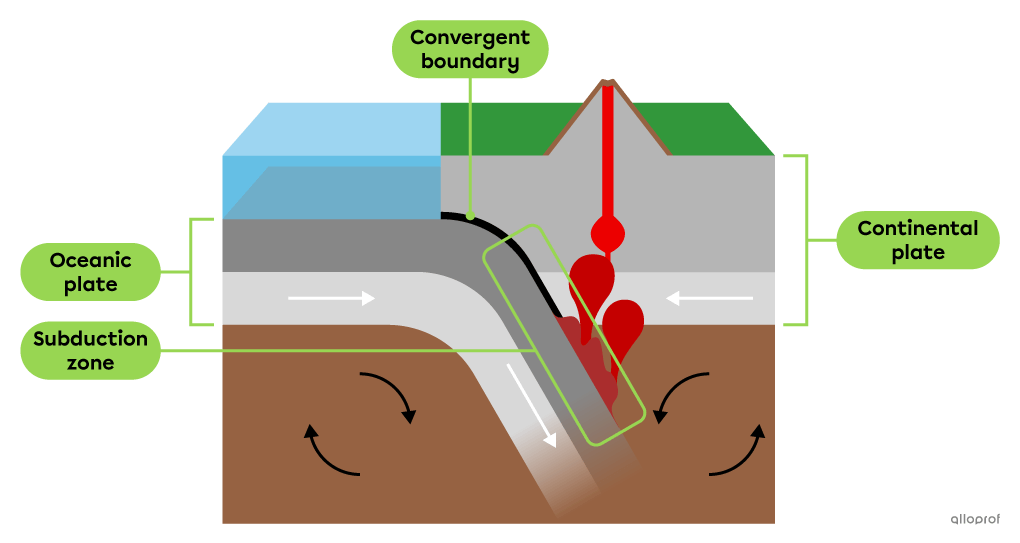 A diagram showing the location of the subduction zone formed when an oceanic plate sinks beneath a continental plate as they collide along a convergent boundary.