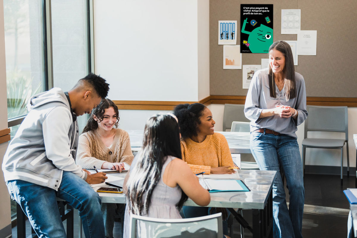 Démarche active de découverte sur l’accord des adjectifs de couleur.