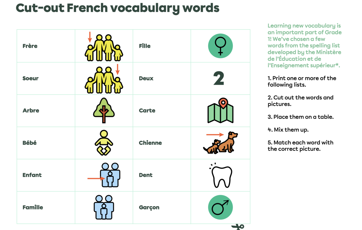 Cut-out French vocabulary words.