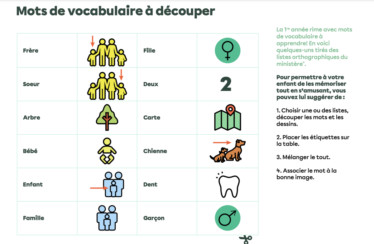 Mots de vocabulaire à découper.