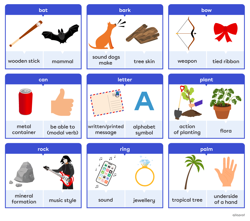 Different examples of homonyms including the modal verb “can” and the metal container “can,” or a “bat” as in the animal or a “bat” as in the stick used to hit a ball.