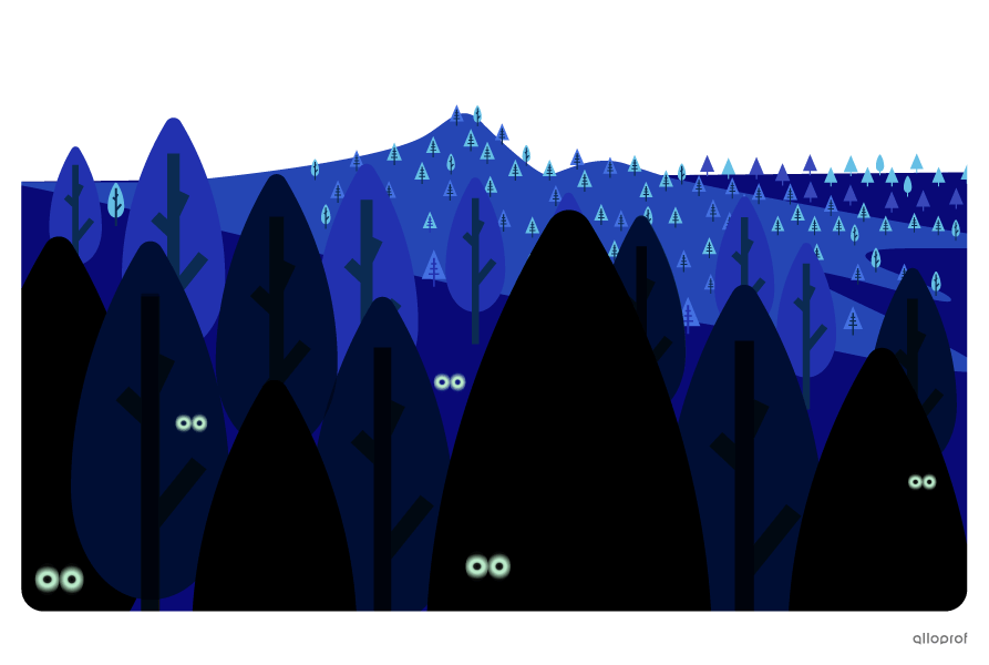 A forest inhabited by hidden creatures.