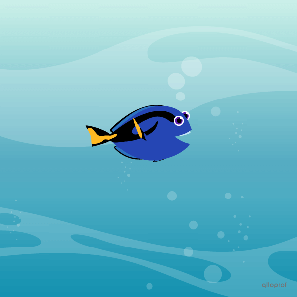 A representation of a fish swimming in the endless sea.