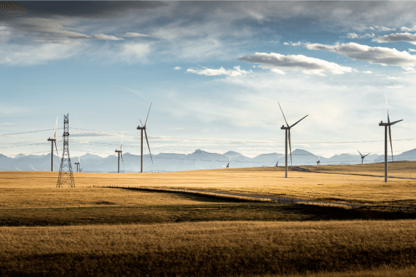 Photographie d’éolienne dans un champ près de Pincher Creek en Alberta.