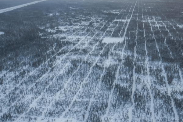 Photographie des lignes sismiques dans une forêt près de Fort McMurray.