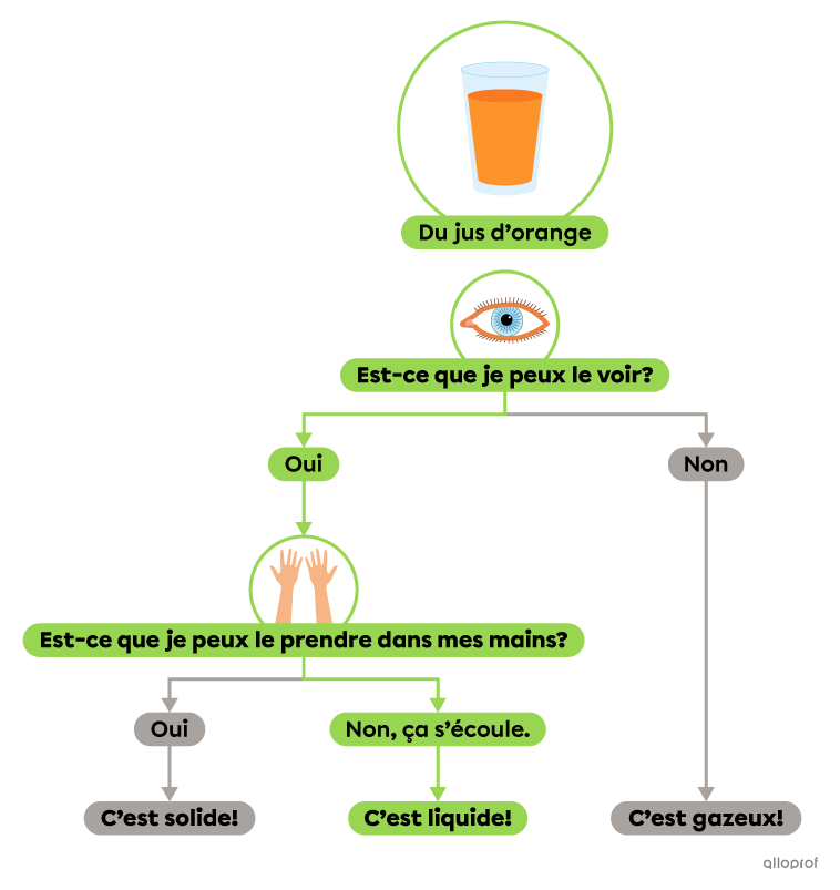 Du jus d’orange est un liquide puisque tu peux le voir et qu’il coule si tu essaies de le prendre dans tes mains.