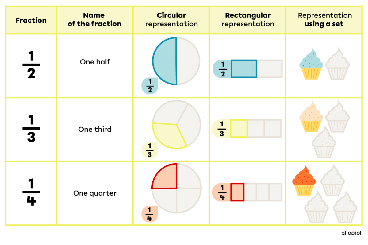 Examples of different representations of fractions.