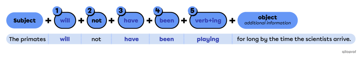 Future perfect continuous negative sentence builders.