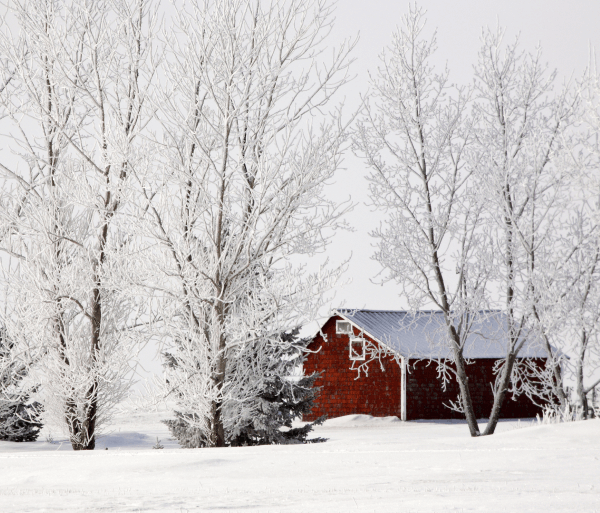 Photographie d’une maison en hiver.