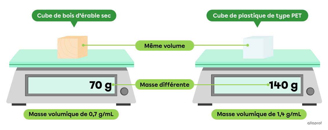 Un cube de bois et un cube de plastique ont le même volume. Le cube de bois, plus léger, est moins dense que le cube de plastique, qui est aussi plus lourd.