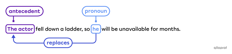 The pronoun “he” replaces the noun “The actor” in the sentence, “The actor fell down a ladder, so he will be unavailable for months.”