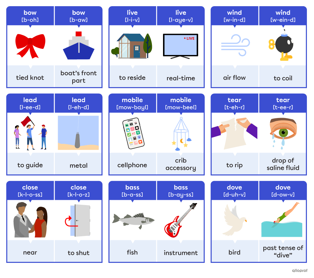 Homonyms, Homophones & Homographs | Alloprof