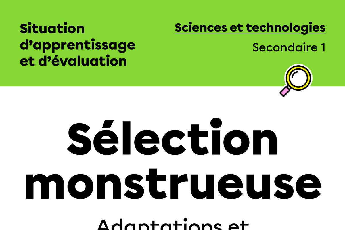 SAÉ Sélection monstrueuse