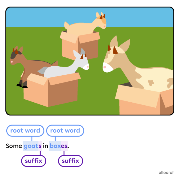 Goats in boxes.