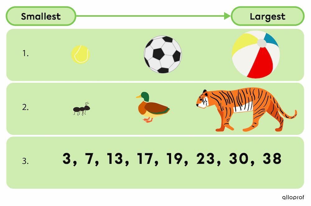 Example of objects and numbers placed in ascending order.