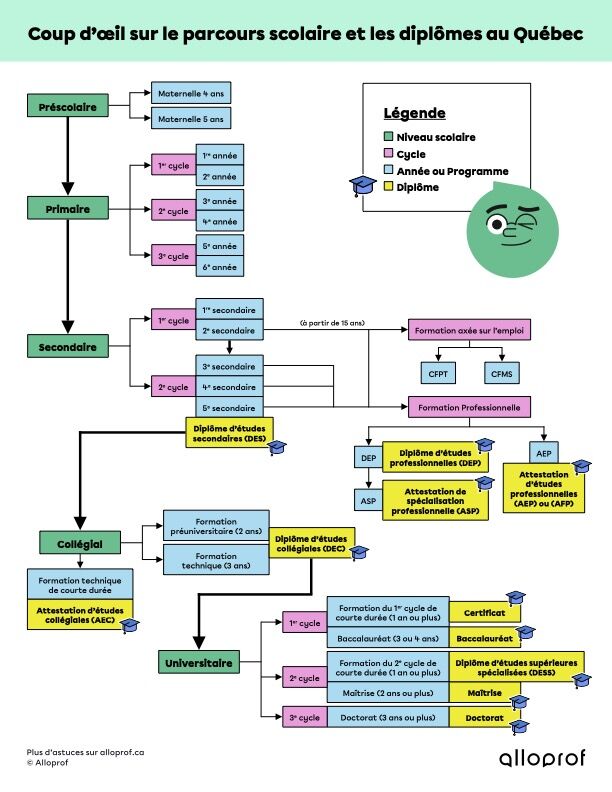 Coup d’œil sur le parcours scolaire et les diplômes au Québec