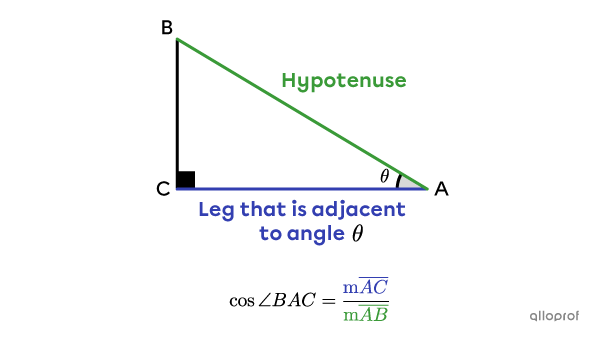 We are looking for the cosine of angle theta in a right triangle.