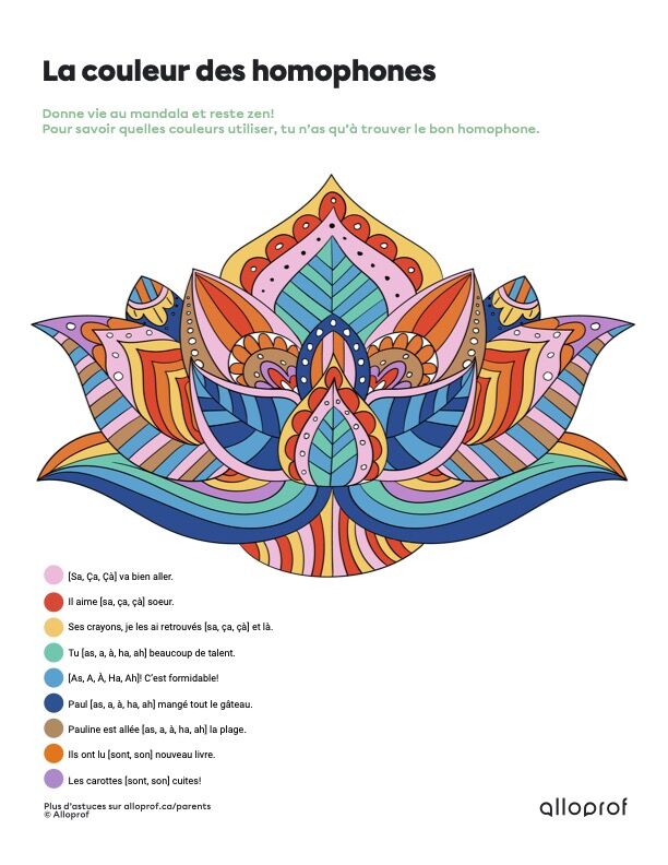 Mandala des homophones corrigé