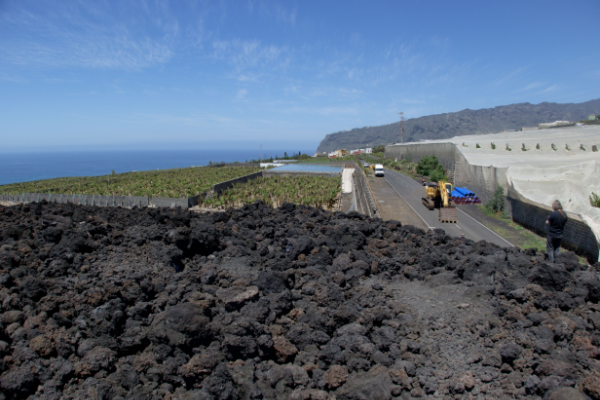 Des coulées de lave ont détruit des plantations de bananes en Espagne.