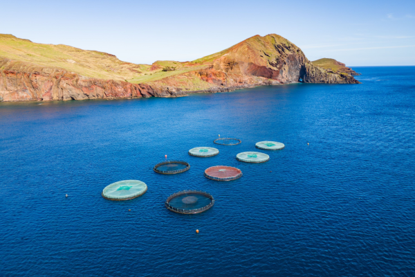 Une ferme aquacole dans l’océan Atlantique.