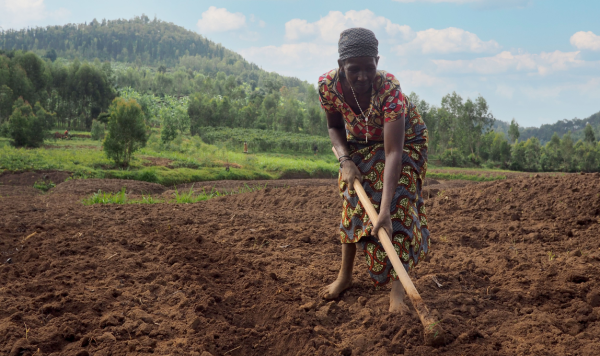Une femme travaillant dans un champ agricole au Rwanda.