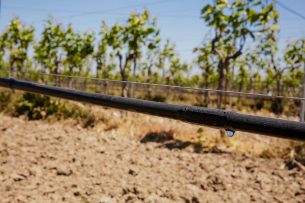 Système d’irrigation lente.