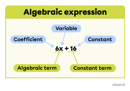 An algebraic expression composed of one algebraic term that consists of a coefficient and a variable, and one constant term.