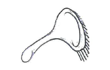 E pinakwepitcikaniwok